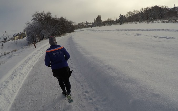 DCIM100GOPROGOPR0301.